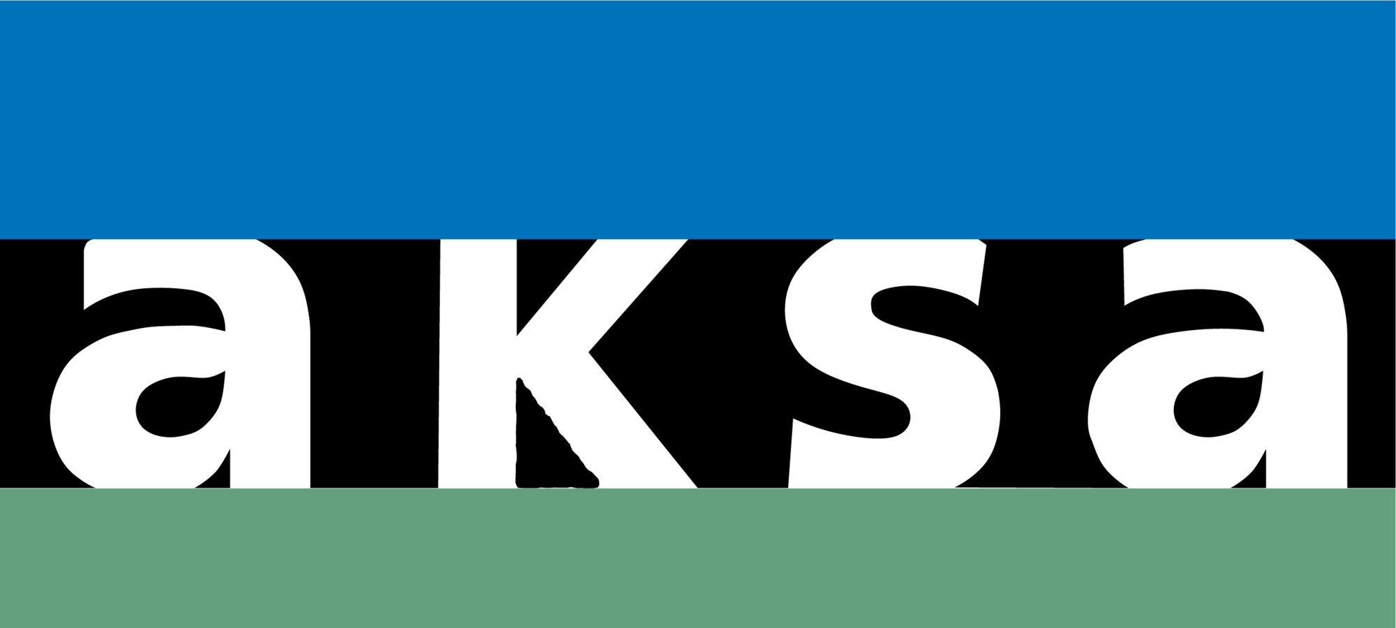 Aksa Elektrik