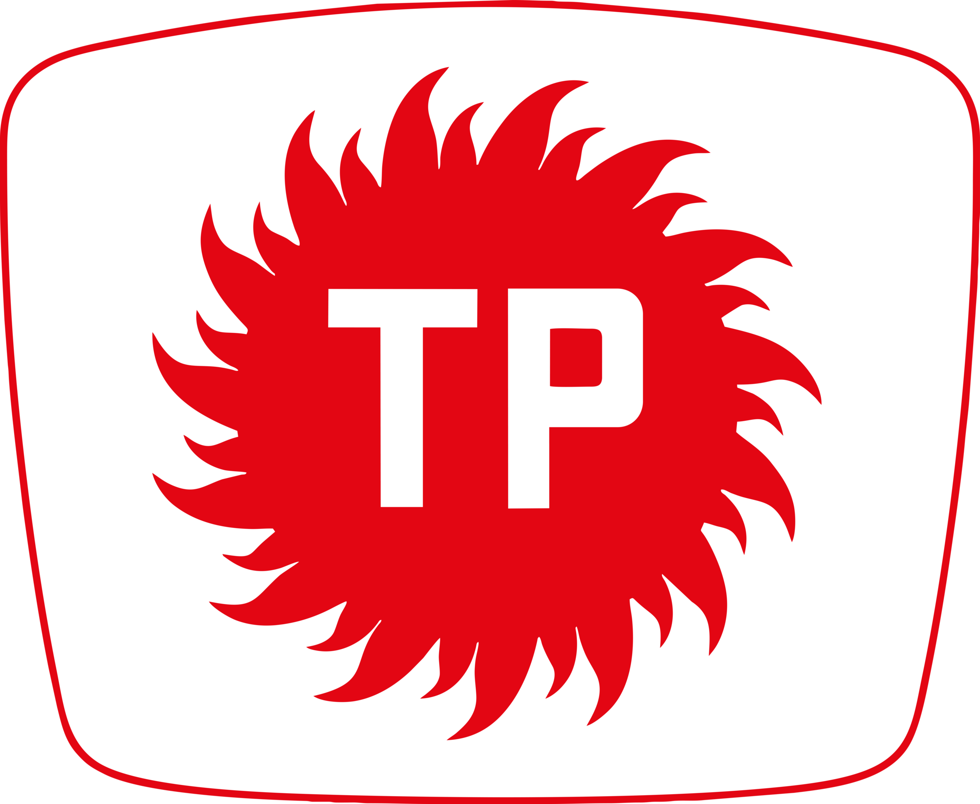 Türk Petrolleri (TP)