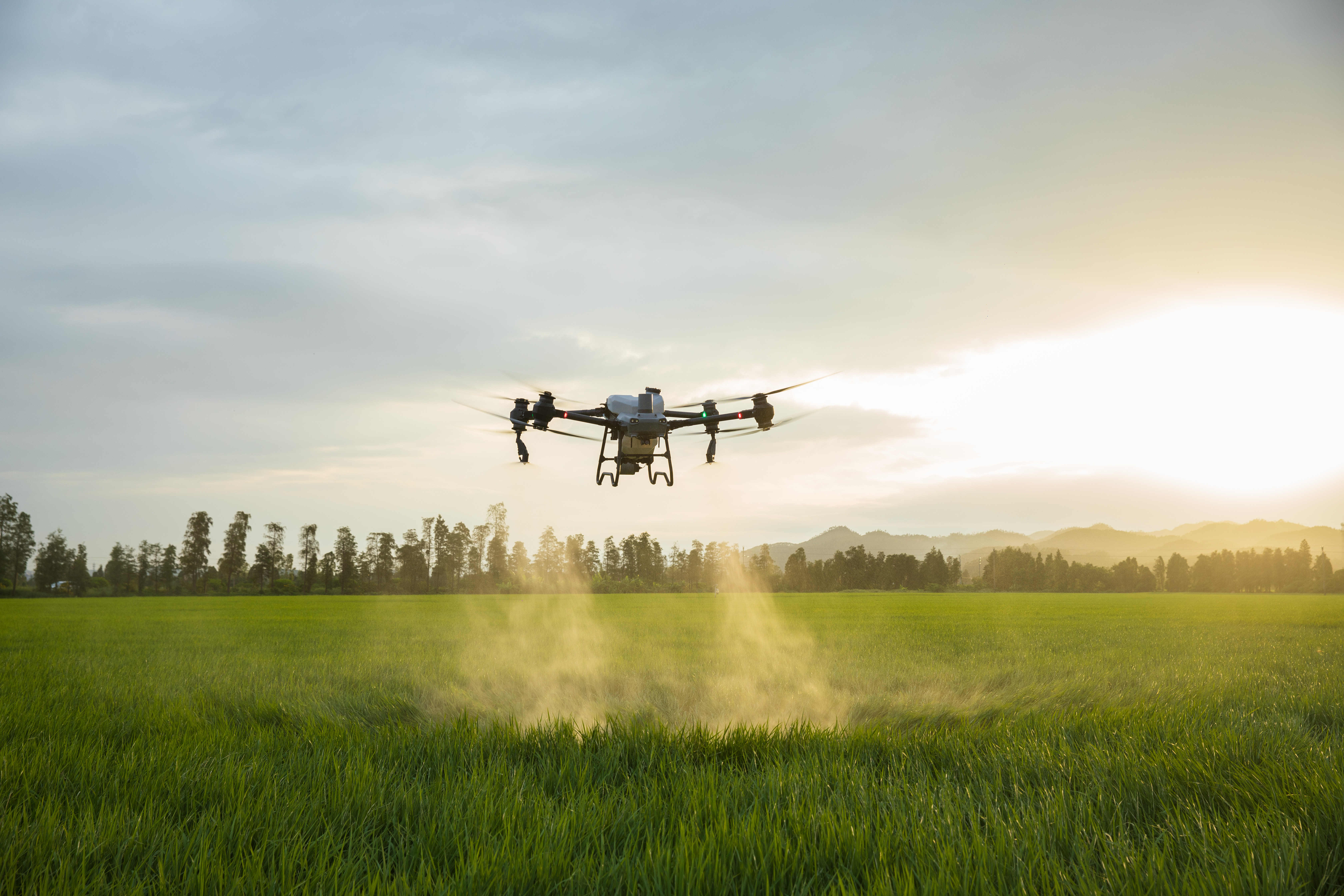 DJI Tarım Drone Hizmeti